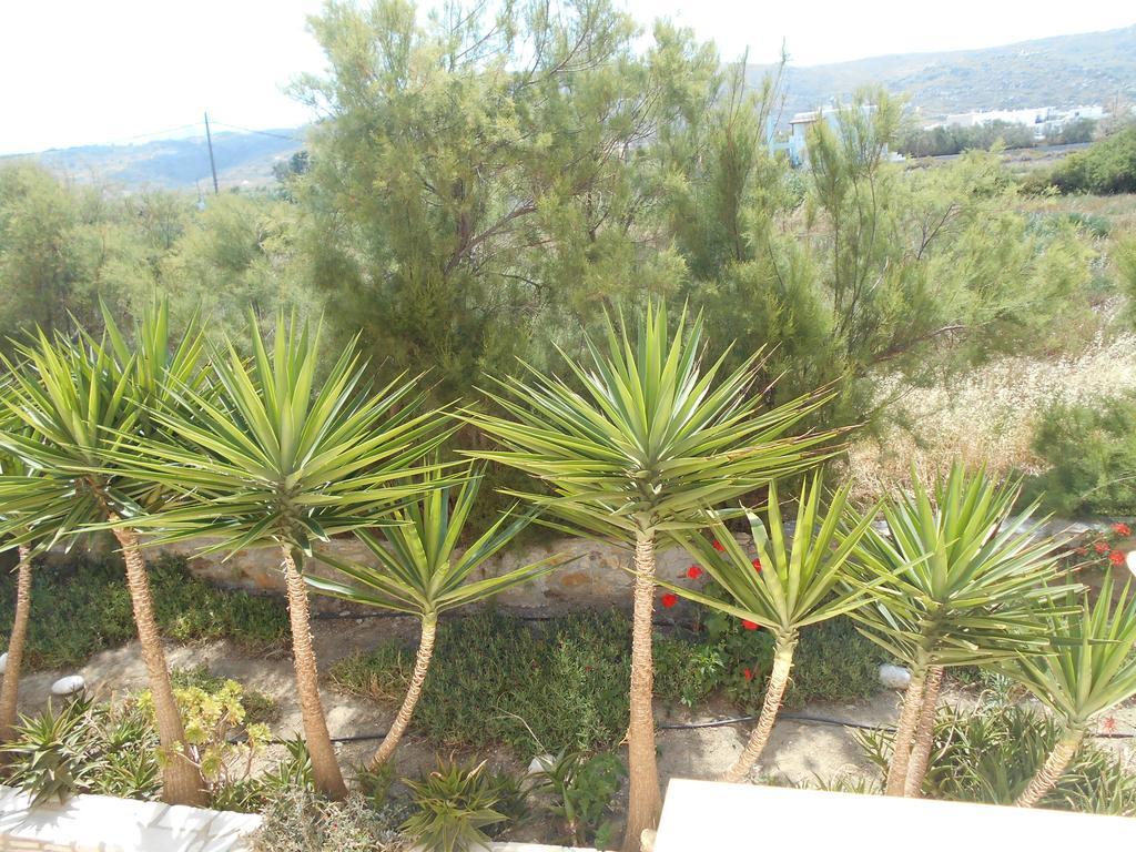 Acti Plaka Hotel Exterior photo